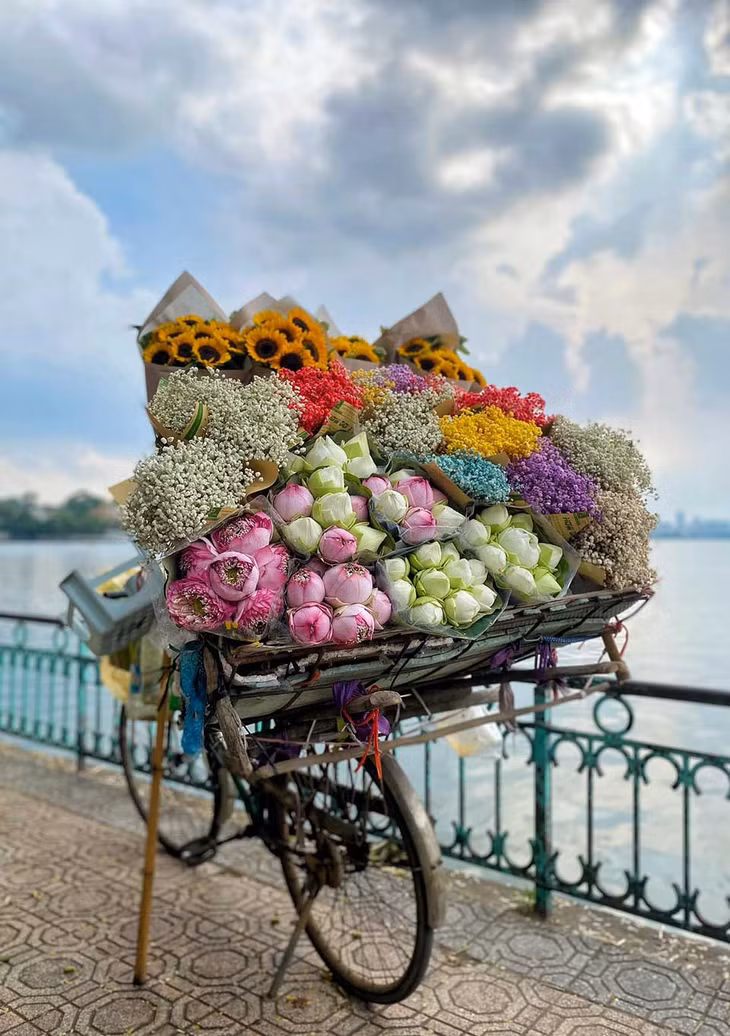 Một xe hoa chở mùa thu Hà Nội. Ảnh: Khương Minh