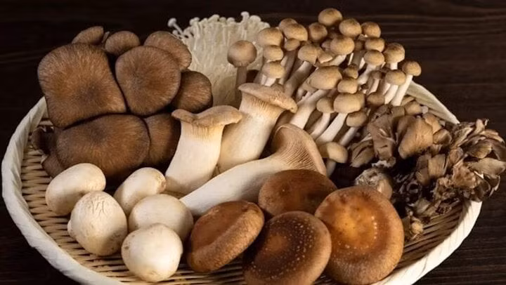 Hãy thêm nấm vào thực đơn của bạn.