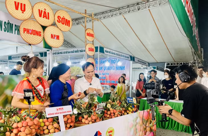 Nông dân phường Phương Nam (TP Uông Bí) tập livestream bán vải chín sớm. Ảnh: Hồng Hoàn (CTV)
