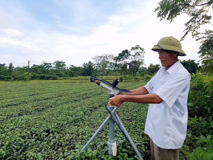 Ông Nguyễn Văn Cử (xã Quảng Thịnh, huyện Hải Hà) kiểm tra các trụ tưới tiết kiệm nước. Ảnh: Trần Trinh (CTV)