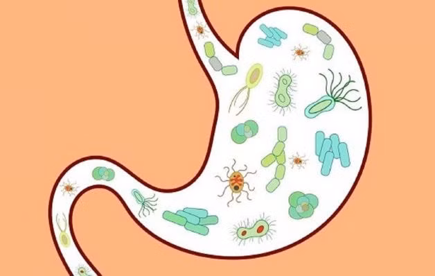 Rối loạn tiêu hóa xảy ra chủ yếu do tiêu thụ thực phẩm không đảm bảo vệ sinh.
