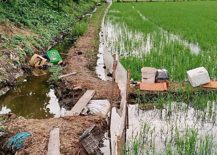 Hiện trường nơi xảy ra vụ việc - Ảnh: TIẾN VĂN