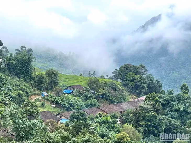 Nhóm hộ Nà Rẻo hòa mình trong thiên nhiên xanh mát.