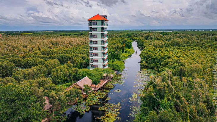 Trong làng nổi cũng có dịch vụ lưu trú tại khu tháp 8 tầng giữa rừng, khu villa… để du khách nghỉ ngơi qua đêm. Ảnh: Khoa ChauDoc