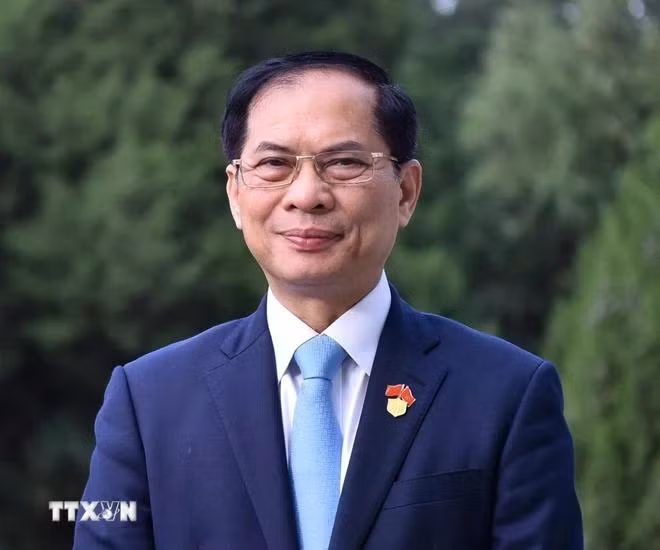 Bộ trưởng Ngoại giao Bùi Thanh Sơn trả lời phỏng vấn báo chí về kết quả chuyến thăm. (Ảnh: TTXVN)