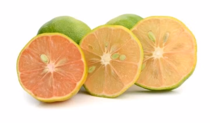 Chanh đào có màu vàng hồng đẹp mắt, vỏ mỏng, mọng nước. (Ảnh: Shutterstock)