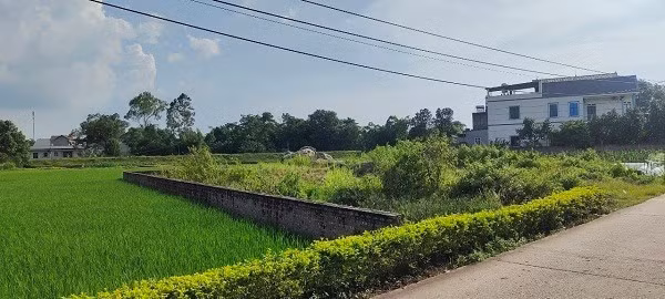 Đất nông nghiệp hiện đang sắp áp dụng nhiều quy định mới. Ảnh: Minh Hạnh