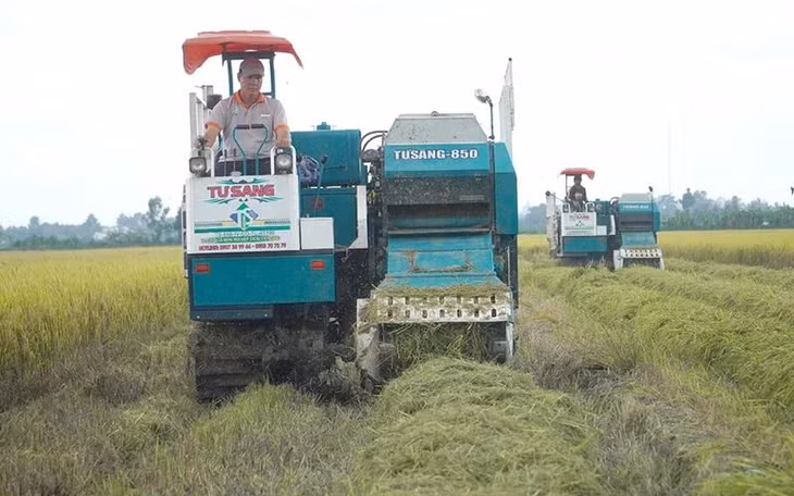 Máy cuộn rơm tại mô hình canh tác lúa thông minh ở xã Vị Trung, huyện Vị Thủy, tỉnh Hậu Giang.