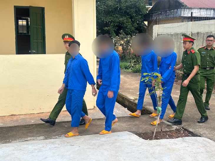 Nhóm lừa đảo những người bị lừa đảo bị công an tạm giữ hình sự - Ảnh: M.Q.
