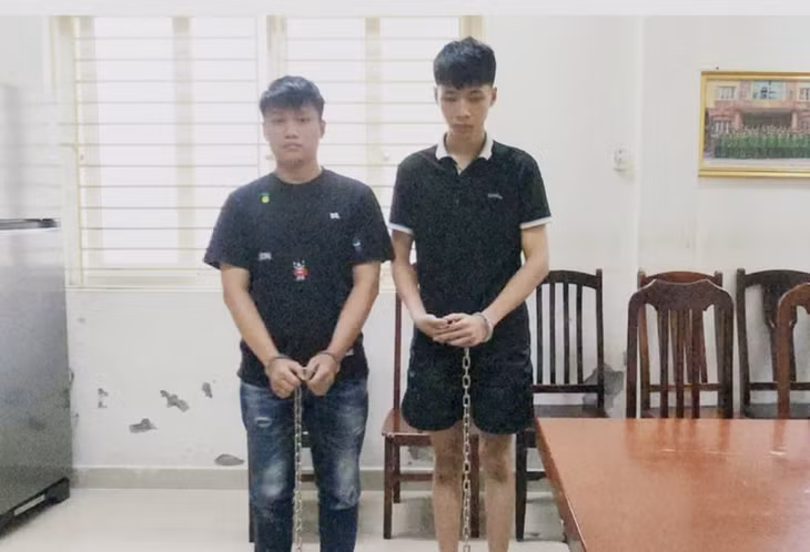Hai đối tượng Vũ Nam Giang và Trần Việt An.