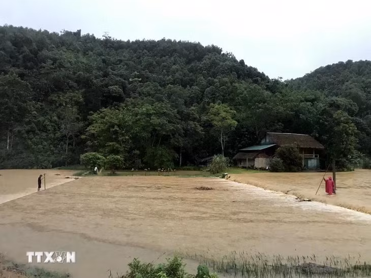 Mưa lớn gây lũ ở huyện Yên Sơn, Tuyên Quang. (Ảnh: TTXVN phát)