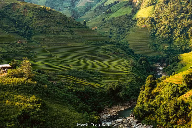 Cảnh vật trên cung trekking Tà Chì Nhù thay đổi dần theo độ cao - Ảnh: NGUYỄN TRỌNG CUNG