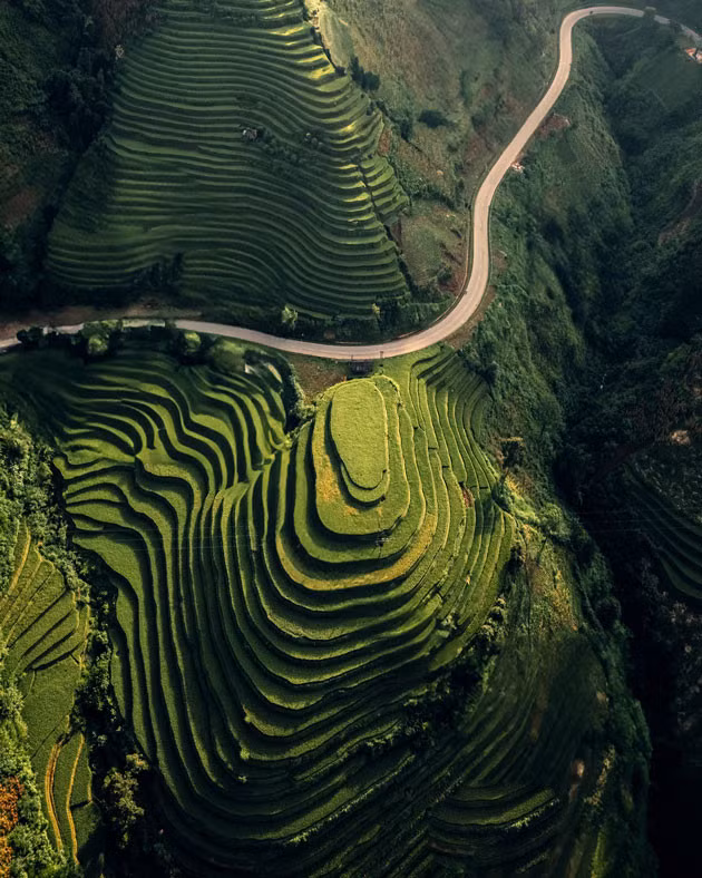 Garrya Mù Cang Chải nằm ở độ cao khoảng 1.000m, bao quanh là ruộng bậc thang. Ảnh: Thanh Miền