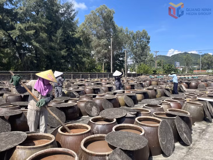 Sản xuất mắm tại Công ty CP Thủy sản Cái Rồng.