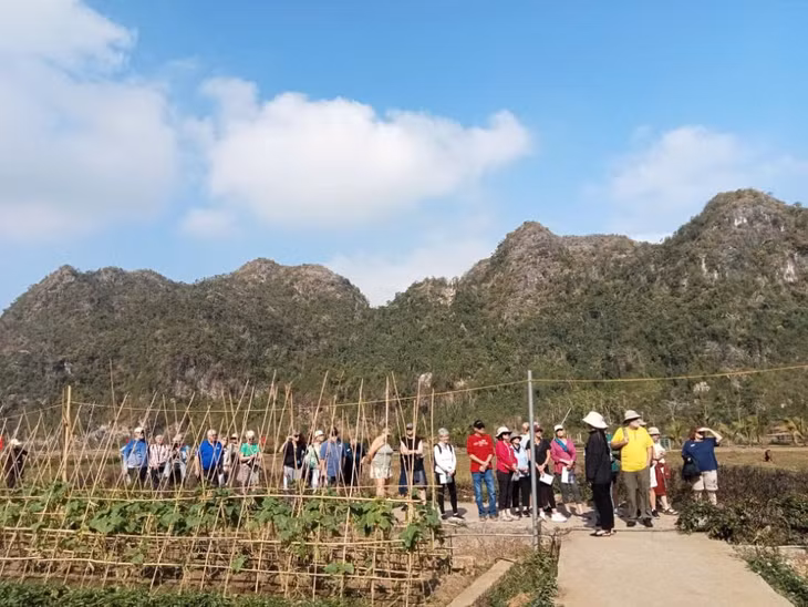 Du khách nước ngoài do tàu Bhaya đưa tới trải nghiệm tại làng chài Việt Hải trên đảo Cát Bà theo tuyến du lịch kết nối. Ảnh: ĐVCC
