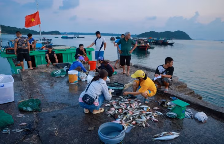 Ngư dân bám biển tại đảo Thanh Lân (Cô Tô). Ảnh: CTV