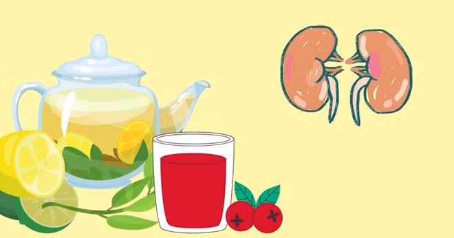 Một số loại đồ uống tự nhiên giúp tăng cường chức năng thận. Ảnh: Huyền Trang