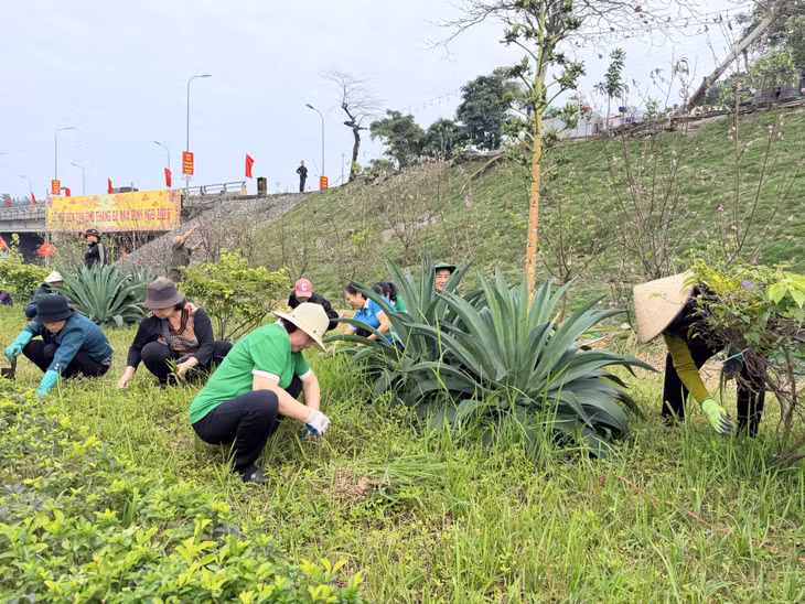 Nhân dân phường Cửa Ông vệ sinh môi trường khu dân cư. 