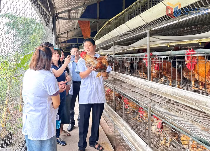 Sở KH&amp;CN đánh giá tiến độ thực hiện nhiệm vụ KH&amp;CN cấp tỉnh “Bảo tồn nguồn gen gà Tiên Yên trên địa bàn tỉnh" tại xã Đông Ngũ.