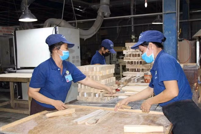 Ngành gỗ Việt Nam đang nỗ lực nâng cao năng lực cạnh tranh để mở rộng thị phần tại thị trường Bắc Mỹ. Ảnh: Đình Trọng