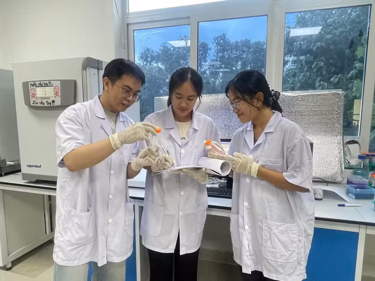 Từ nguồn dược liệu nghệ trắng được thu hái tại tỉnh Trà Vinh, nhóm nghiên cứu đã xây dựng thành công quy trình thu nhận và chuẩn hóa cao chiết từ thân rễ cây nghệ trắng. (Ảnh: TRUNG HIẾU)