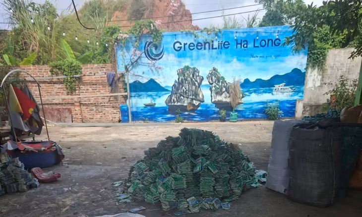 Khu tập kết vỏ hộp sữa tại HTX Green Life Hạ Long.