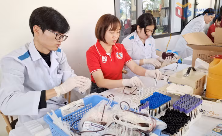 Nhân viên y tế cùng các tình nguyện viên Chữ thập đỏ thu những đơn vị máu vừa được hiến tại Trường Cao đẳng y tế Quảng Ninh, tháng 1/2026.
