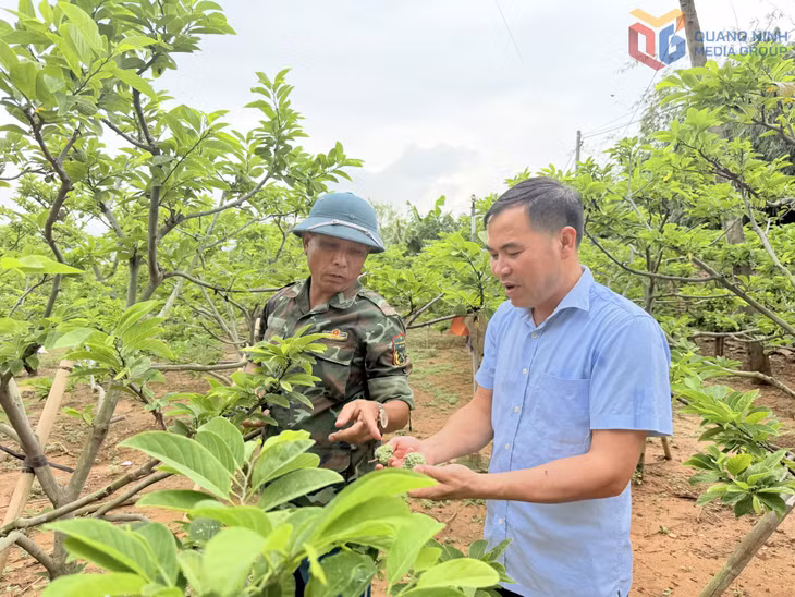 Ông Nguyễn Văn Khoa, Khu phố Tân Thành 1, phường An Sinh giới thiệu quy trình trồng na theo hướng Vietgap.