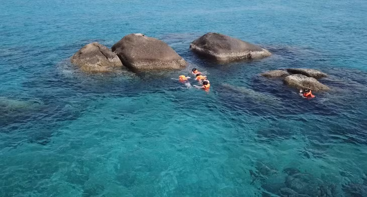 Hiện có nhiều cá nhân, đơn vị làm tour Hòn Cau, cung cấp dịch vụ vận chuyển cũng như ăn uống tại đảo. Ngoài ra, du khách còn được trải nghiệm lặn ngắm quần thể san hô đa dạng với hơn 234 loài, chèo sup, thưởng thức hải sản tươi ngon.
