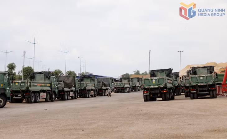 Phương tiện vận tải được chủ đầu tập kết để thi công dự án.