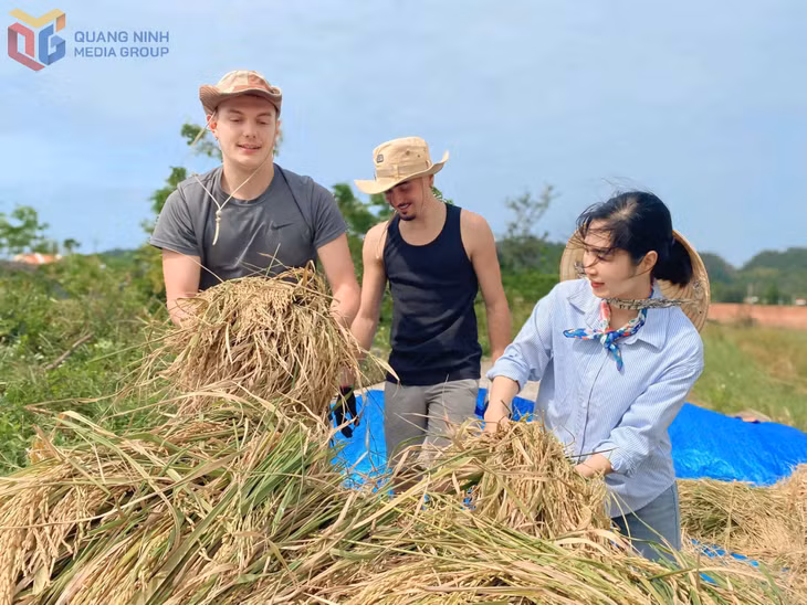Du khách Tây trải nghiệm làm nông dân trên đảo Cô Tô Ảnh: Thu Báu