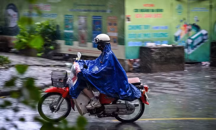 (Ảnh minh họa: THÀNH ĐẠT)
