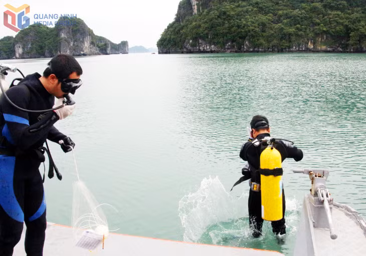 Các hoạt động nghiên cứu, bảo vệ môi trường, đa dạng sinh học được đơn vị chức năng tiến hành thường xuyên trên vịnh Hạ Long.