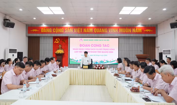 Quang cảnh buổi làm việc.