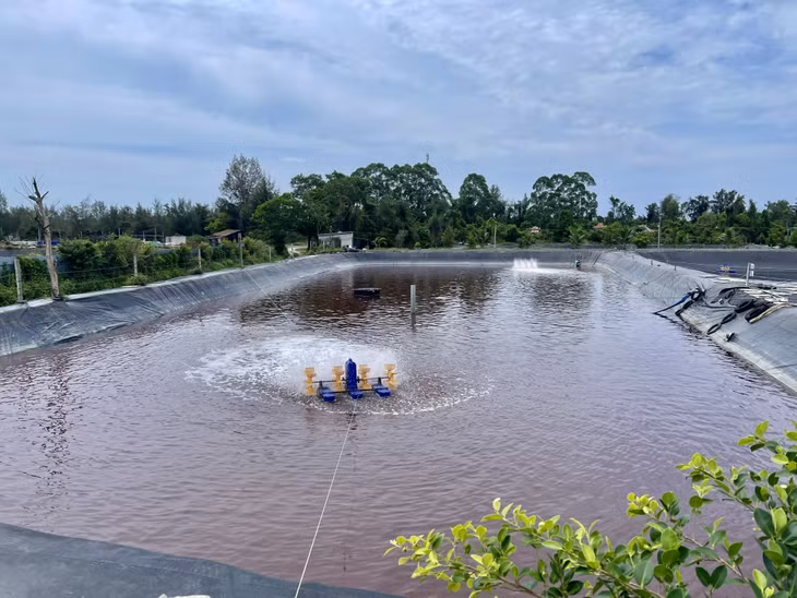 Nuôi tôm công nghệ 2 giai đoạn đang được nhiều hộ nuôi tôm trên địa bàn tỉnh lựa chọn với mục tiêu nâng cao năng suất, chất lượng.