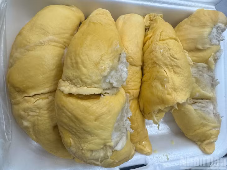Nhờ chất lượng thơm, ngon sầu riêng Đồng Nai rất được thị trường ưa chuộng.