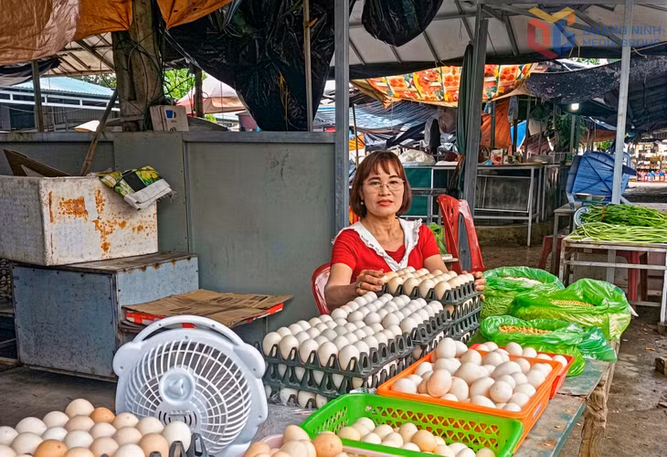 Chị Nguyễn Thị Quyền (thôn Tân Hợp, xã Đầm Hà) phát triển mô hình chăn nuôi vịt đẻ lấy trứng, mang lại nguồn thu nhập ổn định cho gia đình.