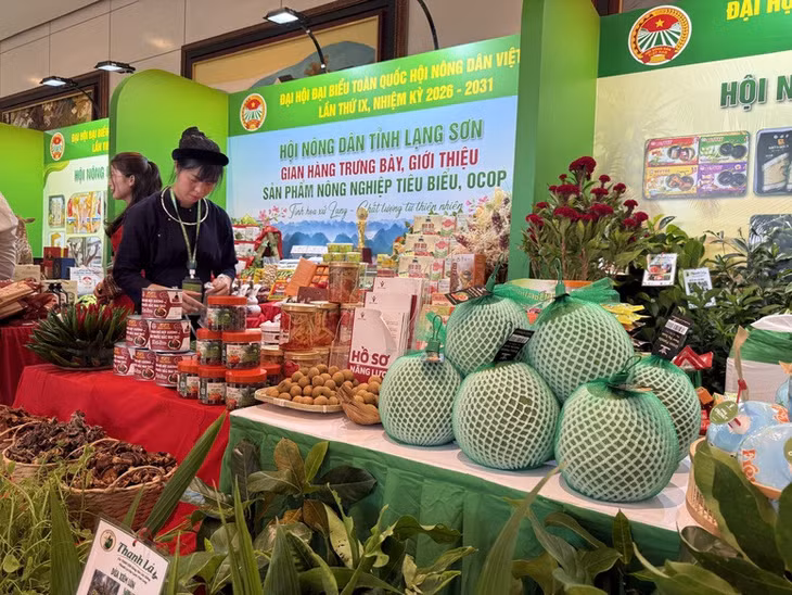 Xu hướng tiêu dùng toàn cầu đang dịch chuyển mạnh mẽ sang các sản phẩm có tính minh bạch cao, đáp ứng tiêu chuẩn xanh và bền vững - Ảnh: VGP/Đỗ Hương