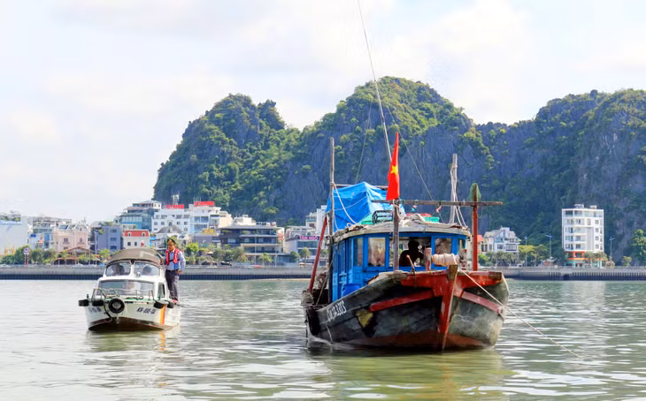 Lực lượng kiểm tra của Ban cùng các lực lượng phối hợp tuần tra kiểm soát, xử lý hiệu quả các vi phạm trên vịnh Hạ Long.
