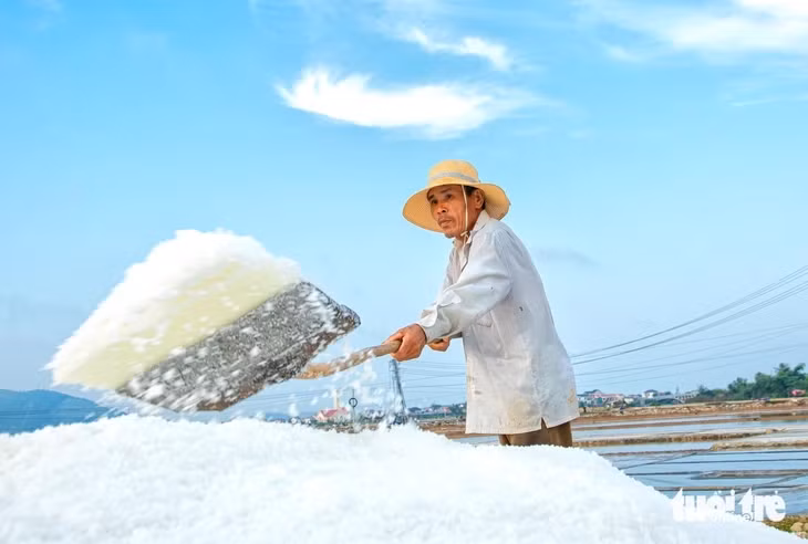 Những mẻ muối trắng tinh được người dân thu hoạch - Ảnh: THANH NGUYÊN