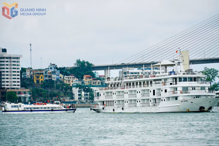 Tàu Ambassdor Signature của Công ty CP Tập đoàn DT cao cấp Châu Á đưa khách tham quan theo hành trình Vịnh Hạ Long 6 - Vịnh Lan Hạ. Ảnh: Hoàng Nga