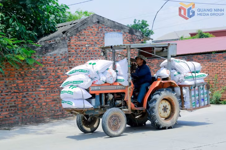 Khâu cơ giới hóa được nông dân các phường, xã trong tỉnh đẩy mạnh vào các khâu từ thu hoạch đến vận chuyển, sấy thóc.