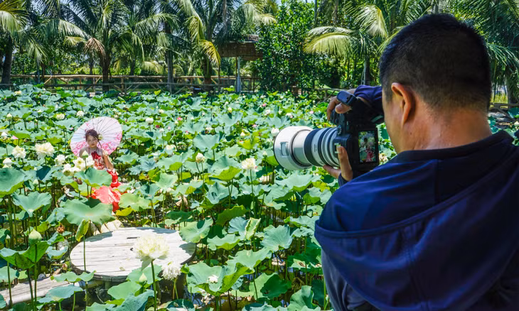 Mùa sen nở cũng là mùa nhộn nhịp của các dịch vụ chụp ảnh trải nghiệm.