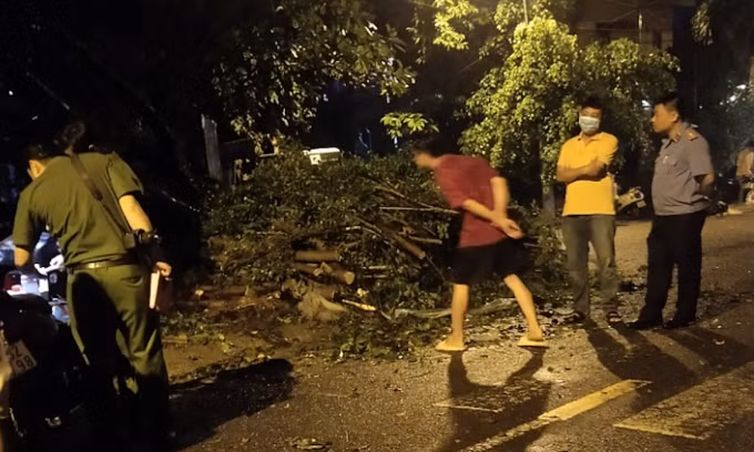 Hiện trường cây đổ khiến người đàn ông tử vong. Ảnh: Hồ Đinh
