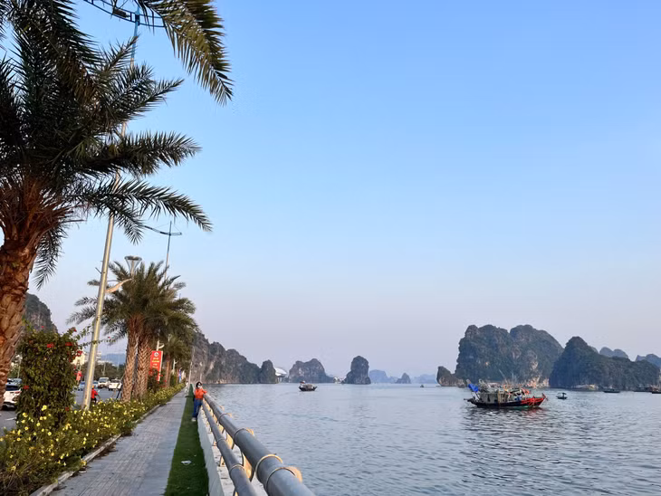 Đội thuyền buồm sẽ diễu hành trên biển, đi qua khu vực đối diện Công viên Hoa Hạ Long để người dân, du khách dễ dàng chiêm ngưỡng.