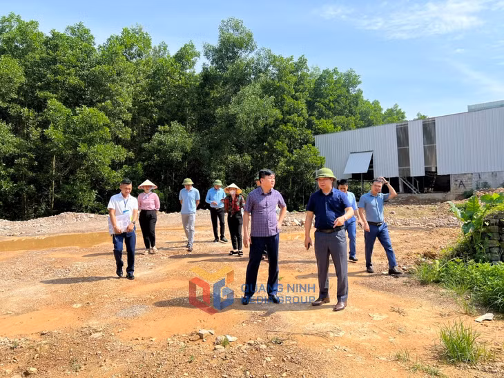 Đoàn kiểm tra của Ban Thường vụ Thành ủy Hạ Long kiểm tra vị trí san gạt trái phép tại khu 6, phường Hà Khẩu vào đầu tháng 8/2023. Ảnh: Hoàng Nga