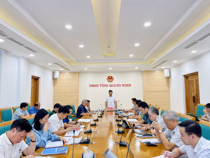 Đồng chí Nghiêm Xuân Cường, Phó Chủ tịch UBND tỉnh phát biểu tại cuộc họp.