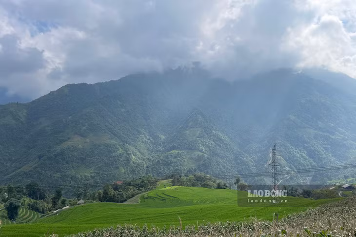 Ở độ cao 1.650 mét, thị trấn Sapa nằm ẩn mình trong một thung lũng được bao quanh bởi dãy núi Hoàng Liên Sơn.