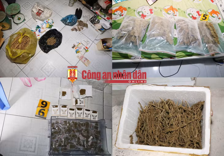 Cùng tang vật.