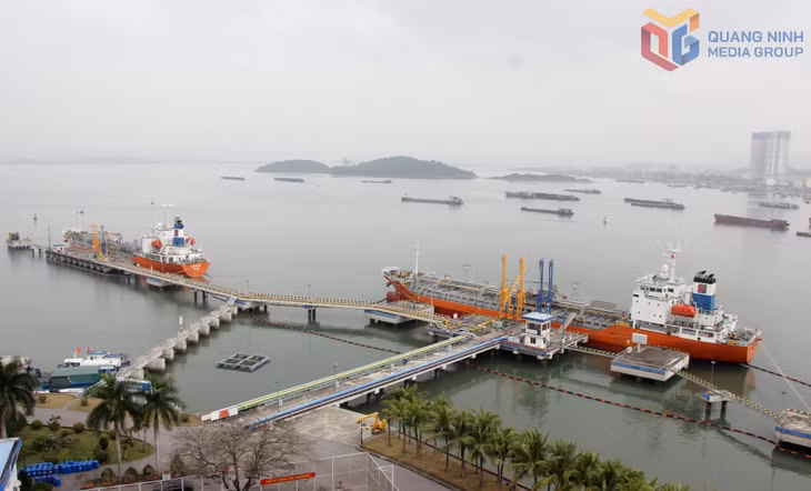 Hoạt động vận chuyển, phân phối xăng dầu tại Cảng xăng dầu B12 (Công ty Xăng dầu B12). Ảnh: Mạnh Trường